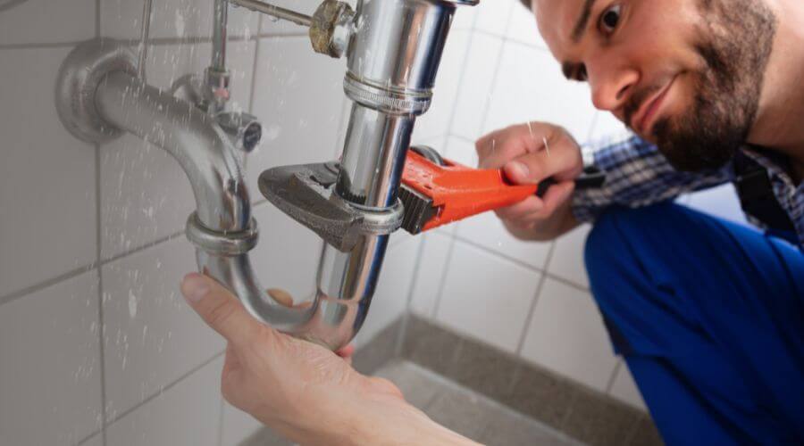 Toilet clog repair in Wellington, NV